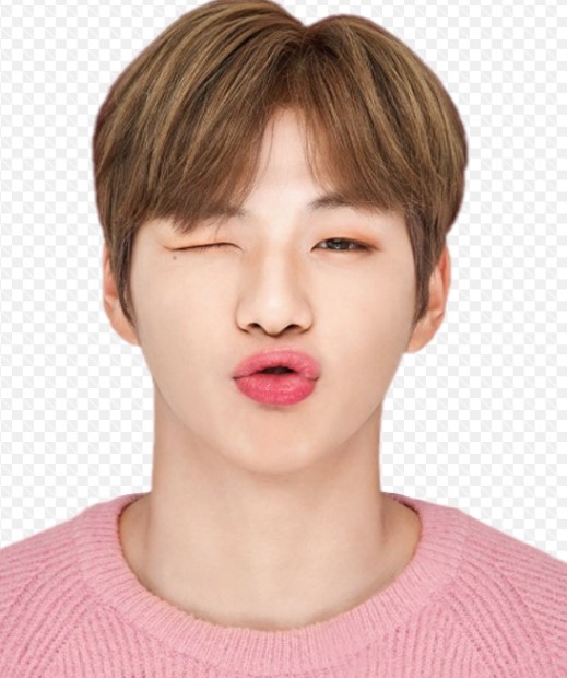 강다니엘 팬미팅